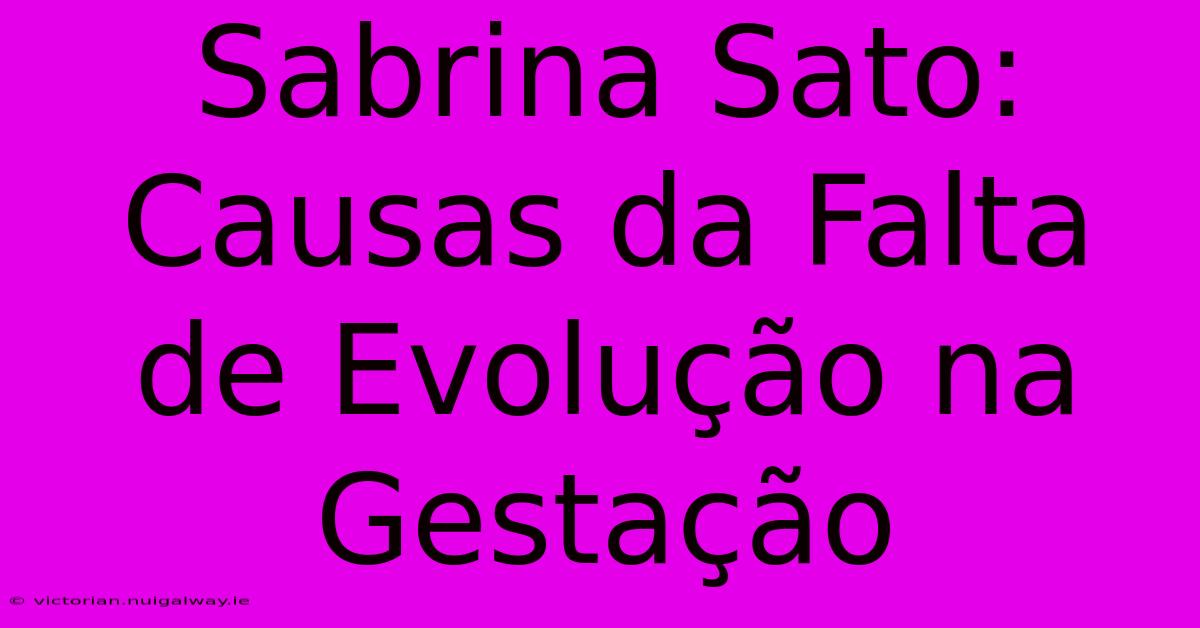 Sabrina Sato: Causas Da Falta De Evolução Na Gestação