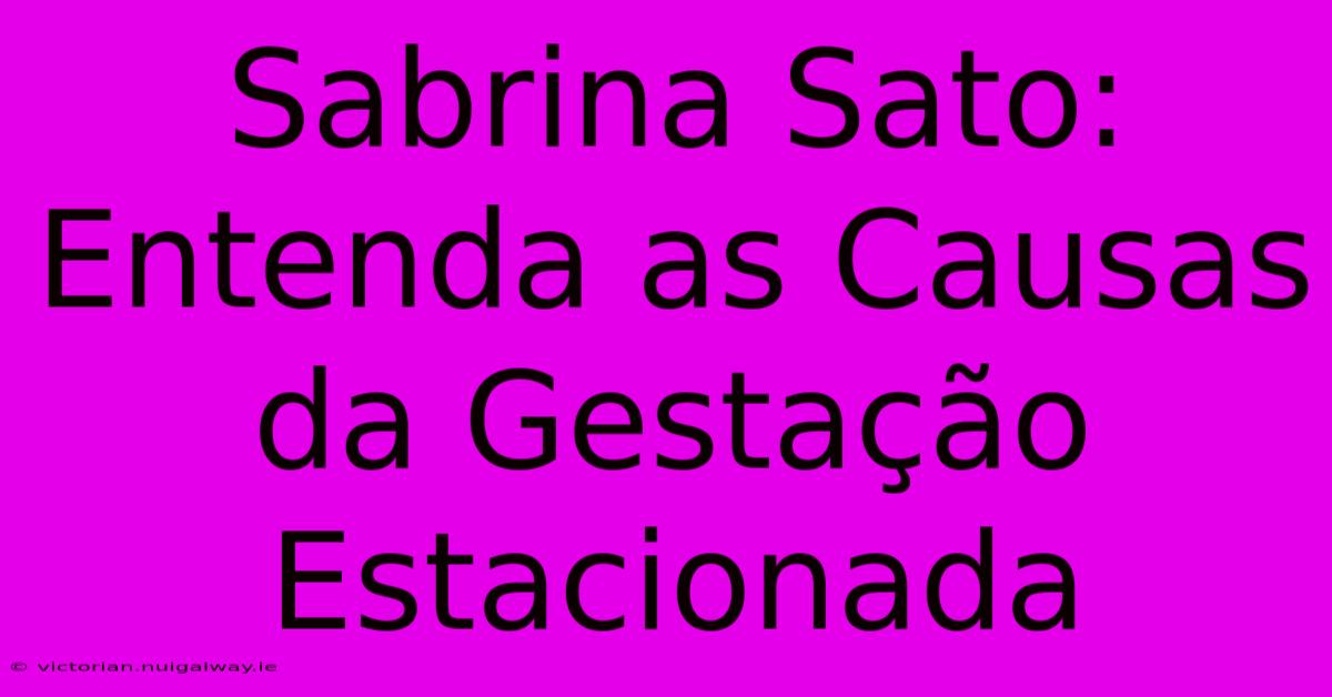 Sabrina Sato: Entenda As Causas Da Gestação Estacionada 