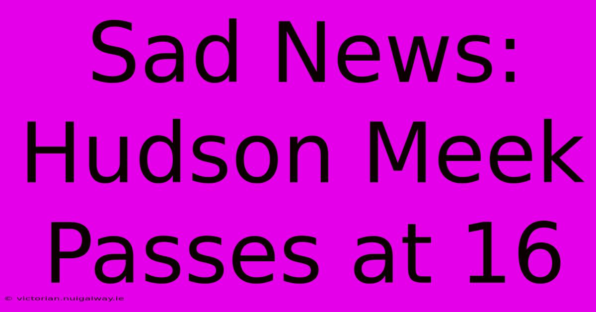 Sad News: Hudson Meek Passes At 16