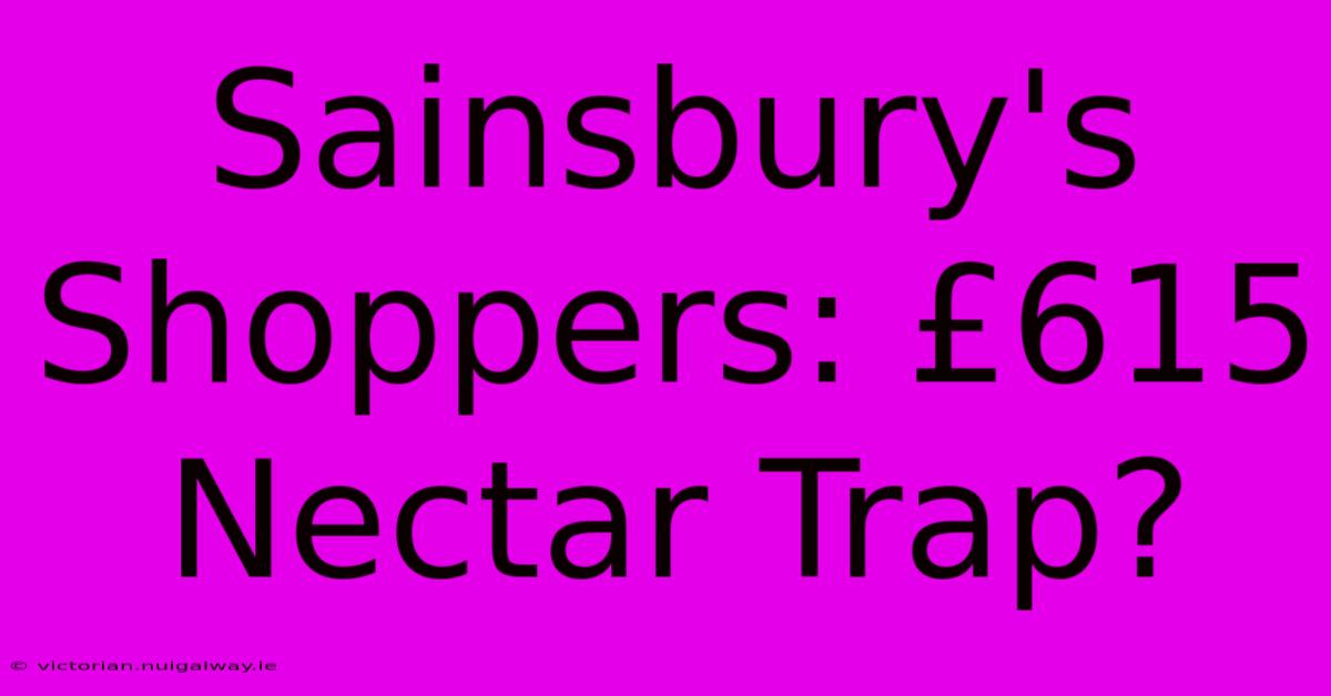 Sainsbury's Shoppers: £615 Nectar Trap?