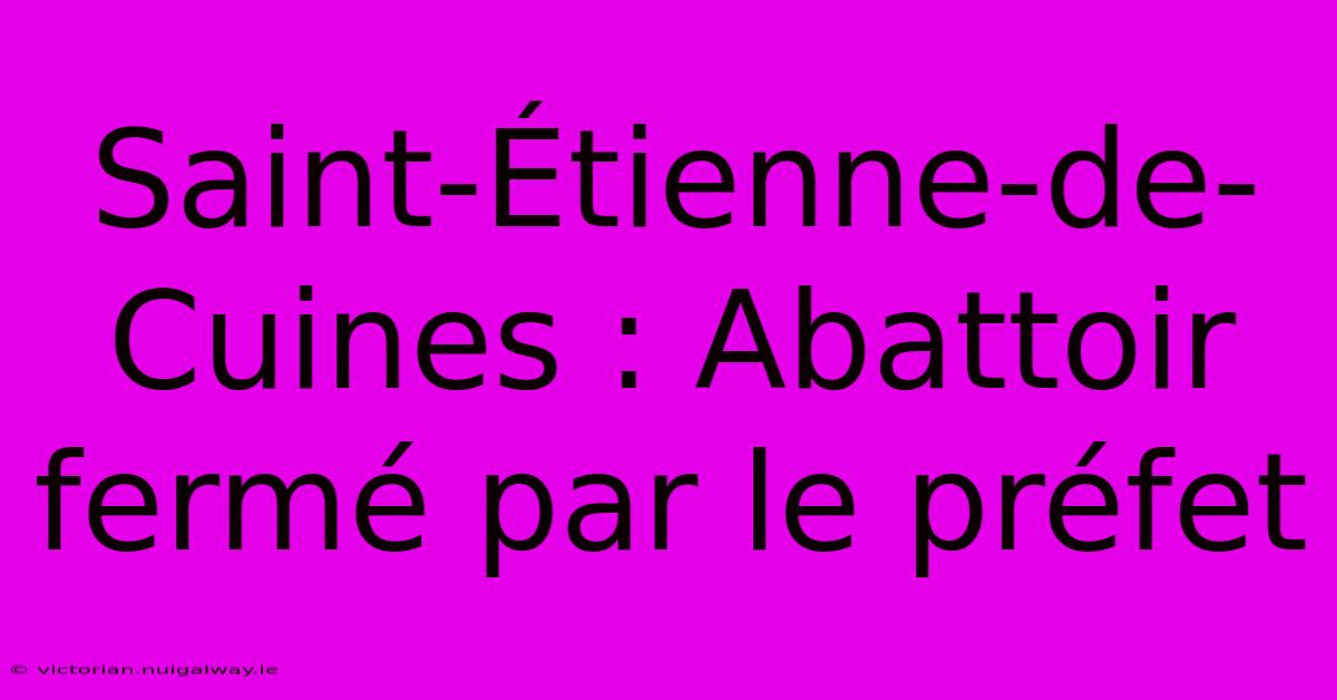 Saint-Étienne-de-Cuines : Abattoir Fermé Par Le Préfet