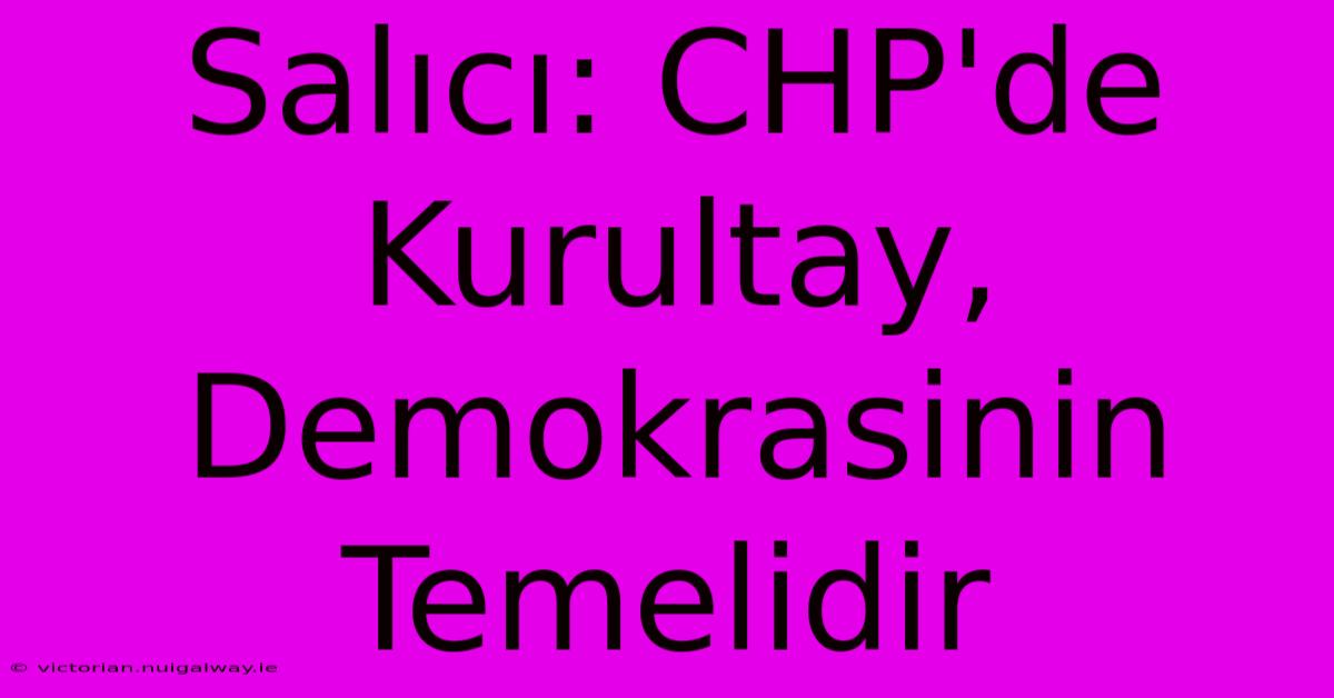 Salıcı: CHP'de Kurultay, Demokrasinin Temelidir 