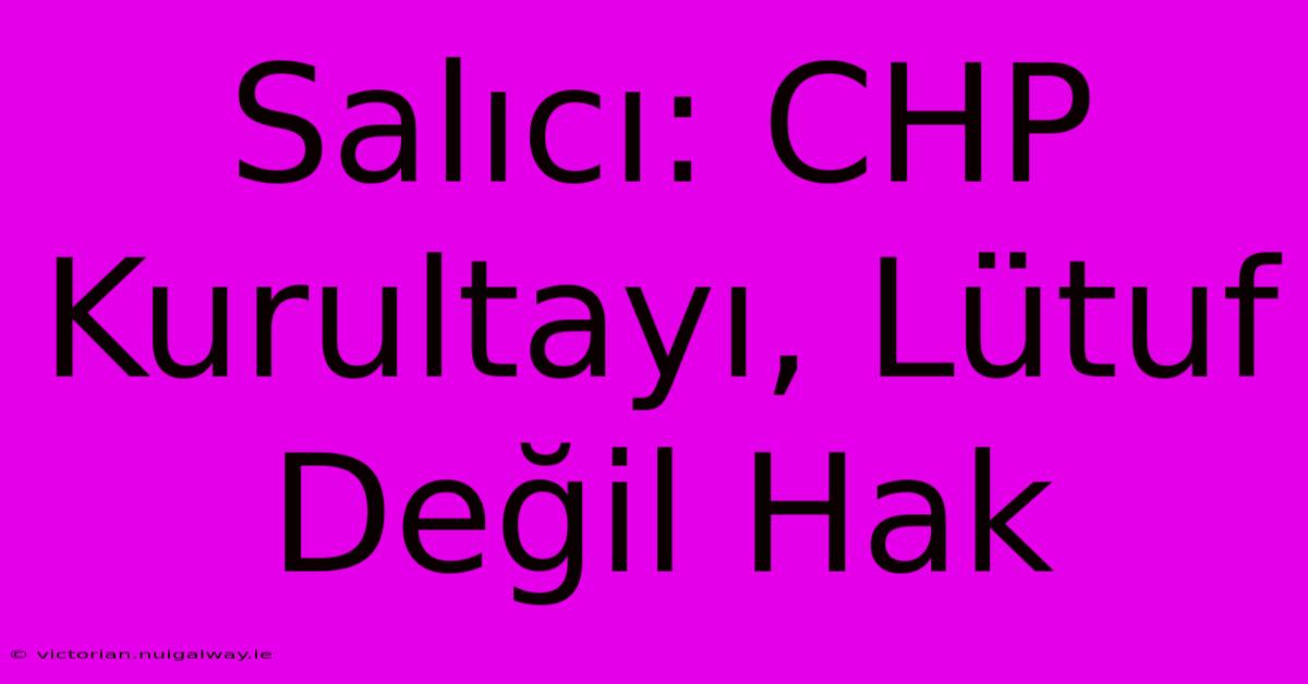 Salıcı: CHP Kurultayı, Lütuf Değil Hak