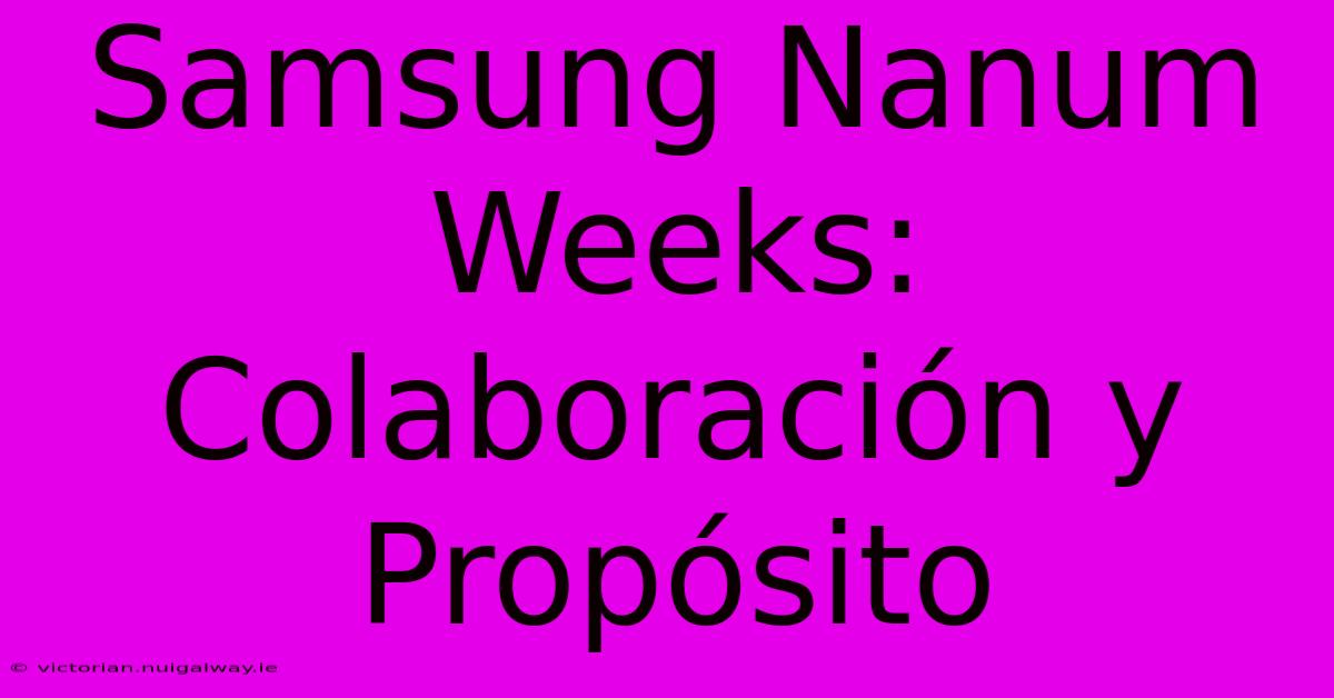 Samsung Nanum Weeks: Colaboración Y Propósito