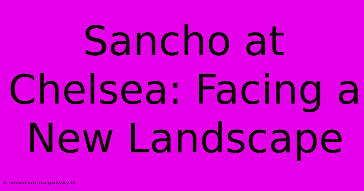 Sancho At Chelsea: Facing A New Landscape