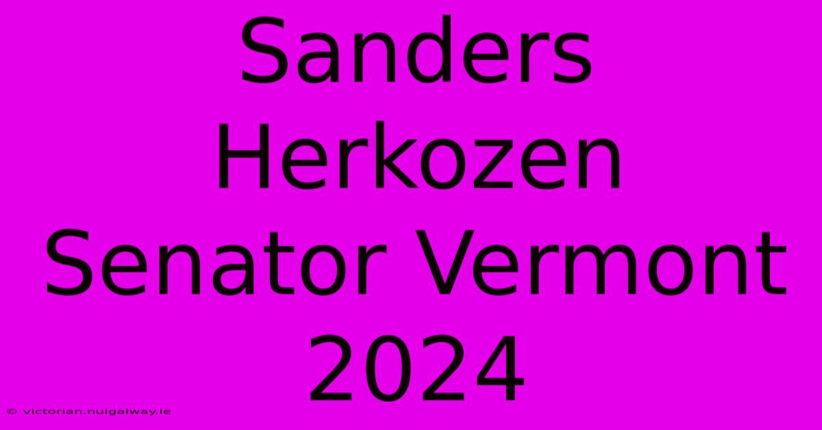 Sanders Herkozen Senator Vermont 2024 