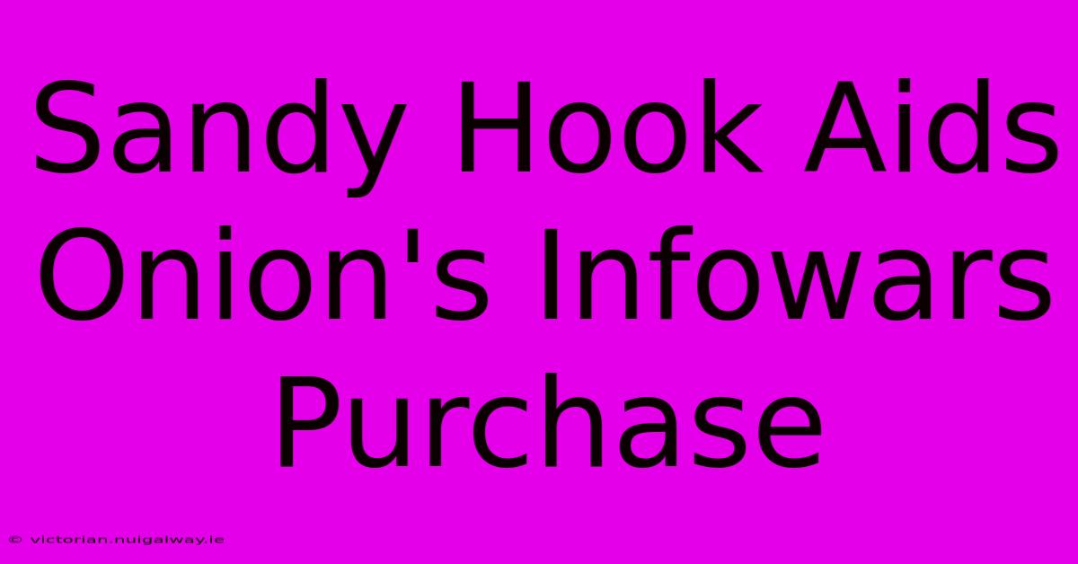 Sandy Hook Aids Onion's Infowars Purchase