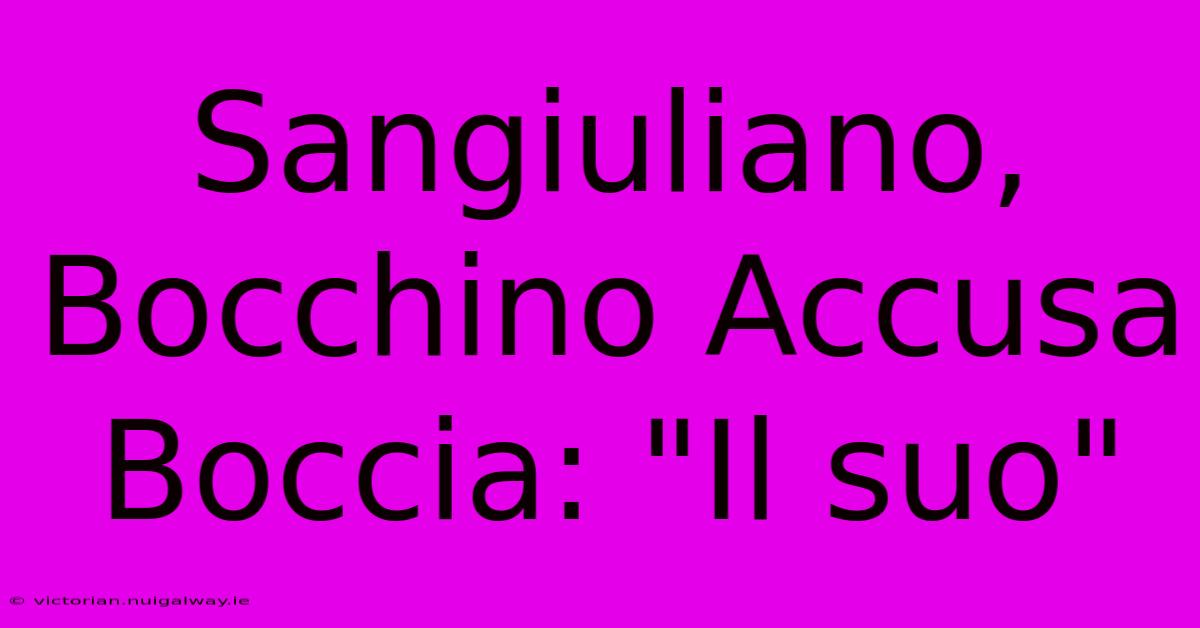 Sangiuliano, Bocchino Accusa Boccia: 