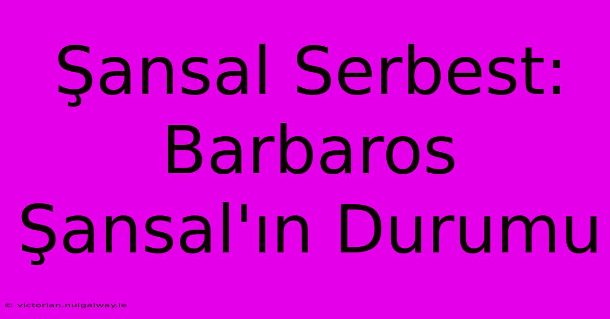 Şansal Serbest: Barbaros Şansal'ın Durumu