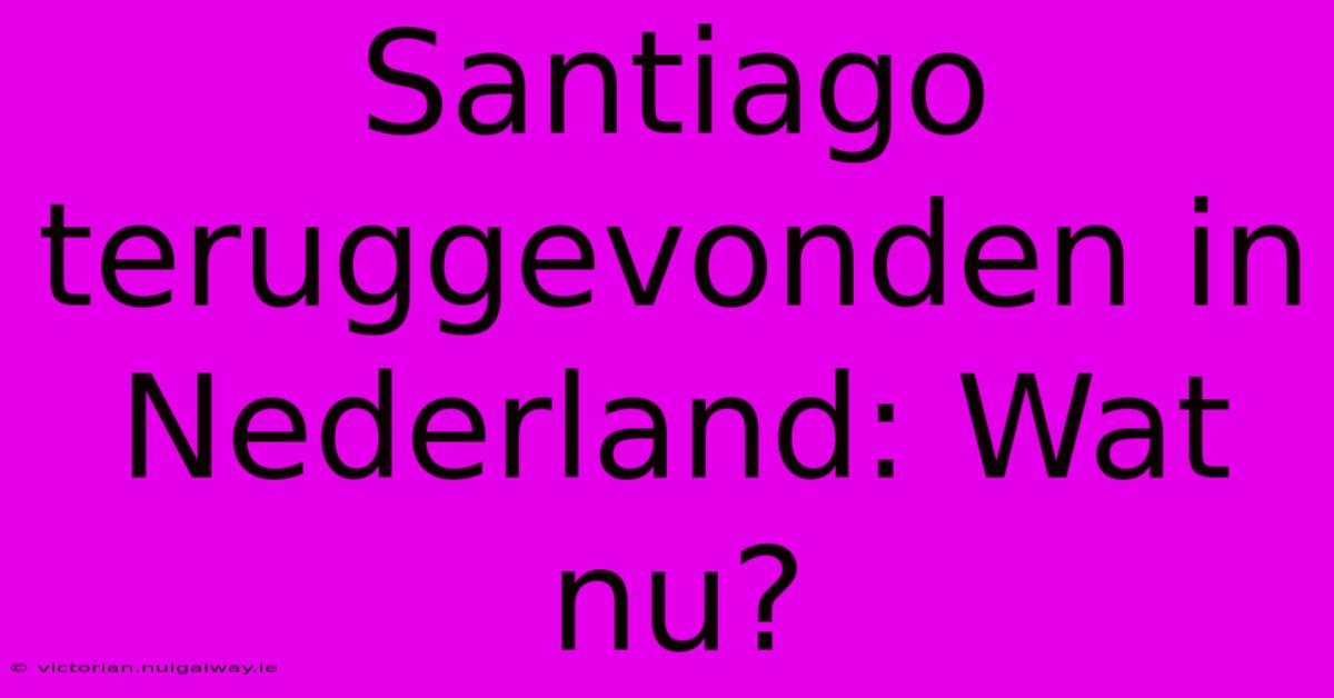 Santiago Teruggevonden In Nederland: Wat Nu? 