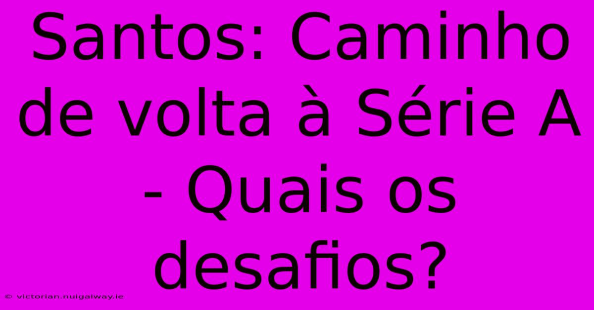 Santos: Caminho De Volta À Série A - Quais Os Desafios?