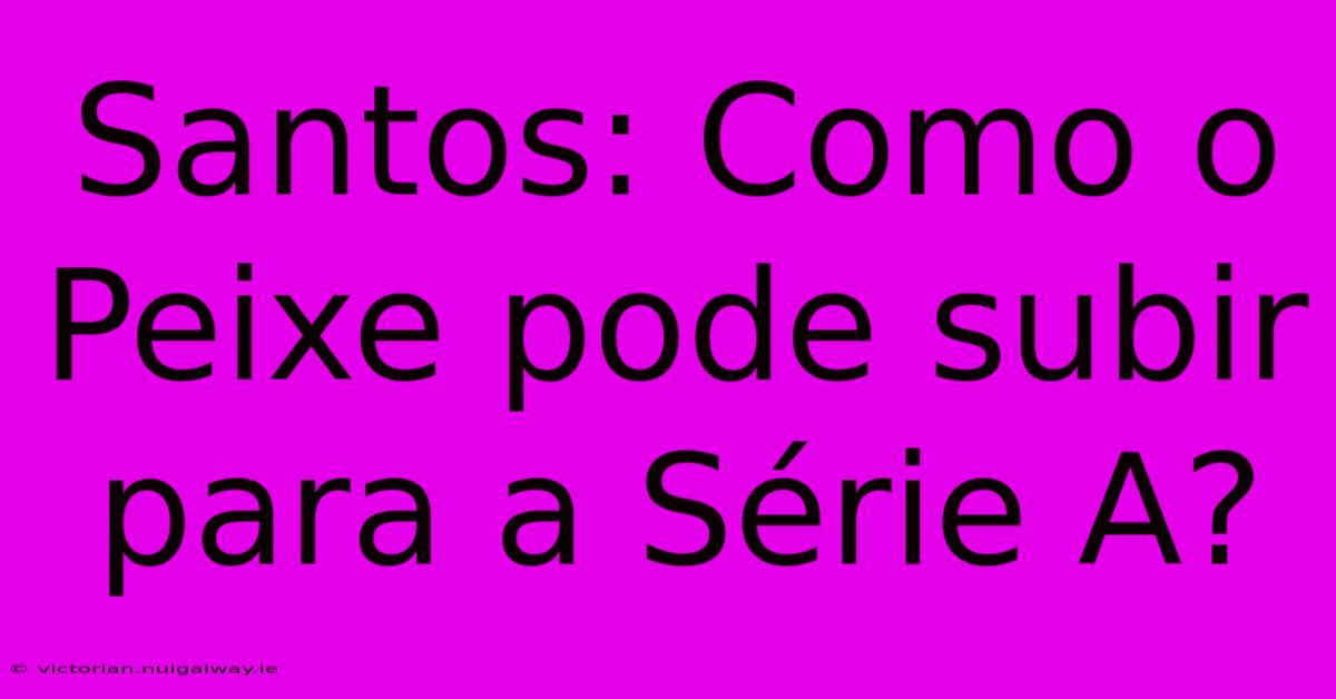 Santos: Como O Peixe Pode Subir Para A Série A?