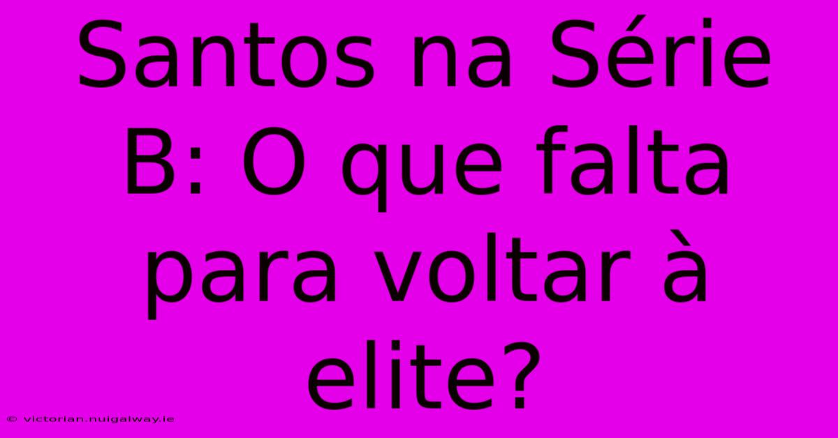 Santos Na Série B: O Que Falta Para Voltar À Elite?