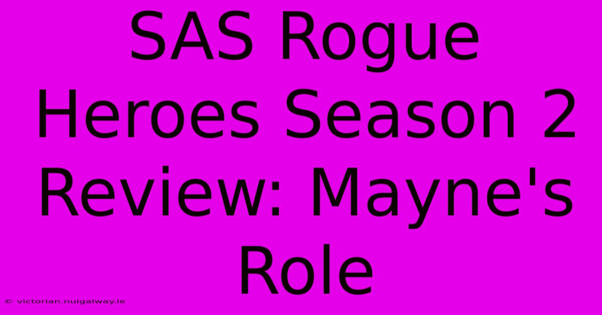 SAS Rogue Heroes Season 2 Review: Mayne's Role