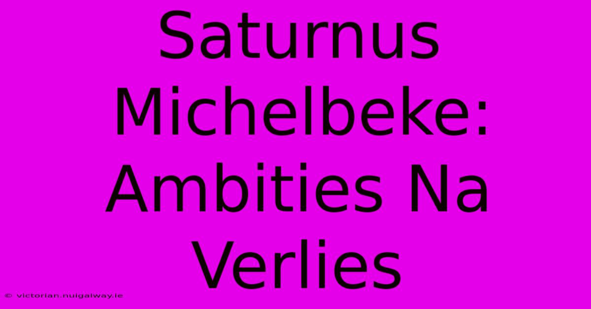 Saturnus Michelbeke: Ambities Na Verlies 