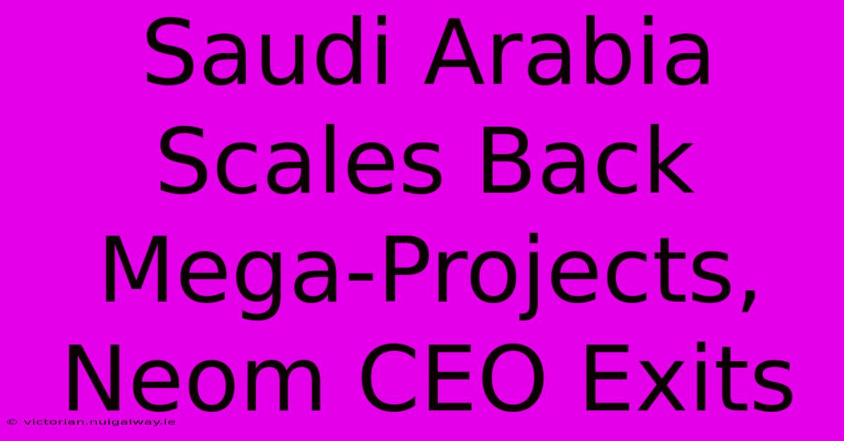 Saudi Arabia Scales Back Mega-Projects, Neom CEO Exits