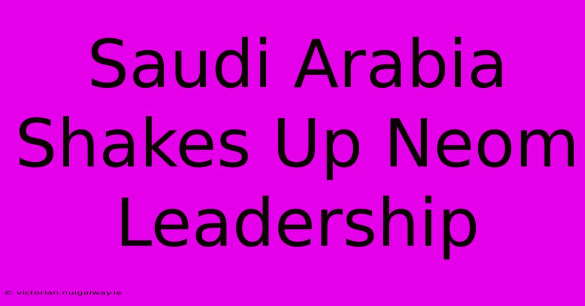 Saudi Arabia Shakes Up Neom Leadership