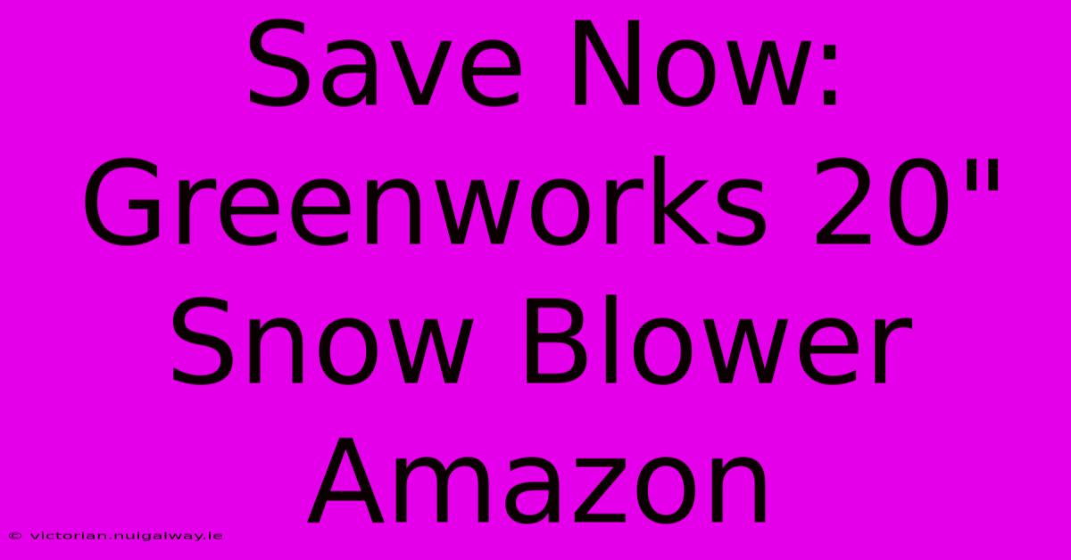 Save Now: Greenworks 20