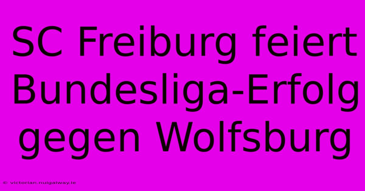 SC Freiburg Feiert Bundesliga-Erfolg Gegen Wolfsburg