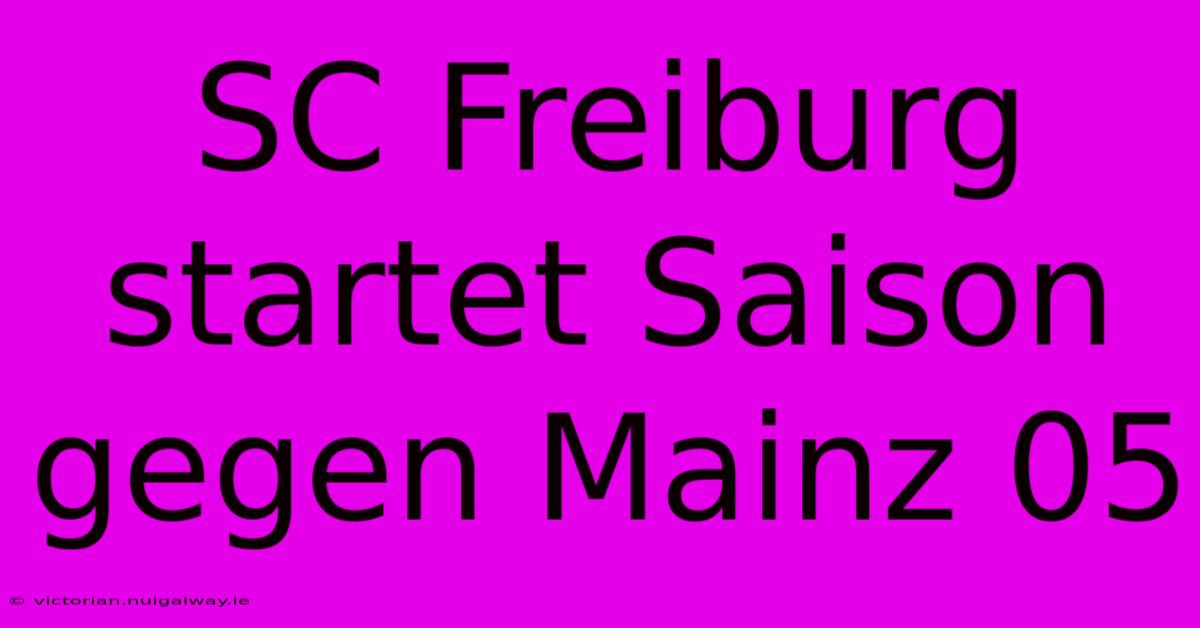 SC Freiburg Startet Saison Gegen Mainz 05