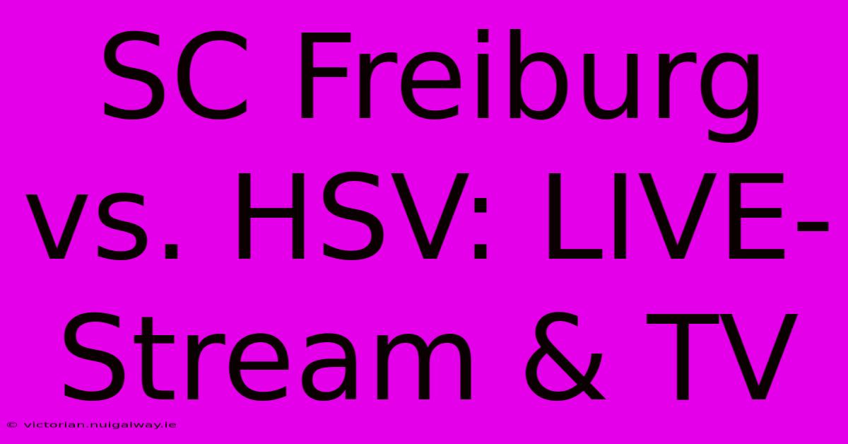 SC Freiburg Vs. HSV: LIVE-Stream & TV 