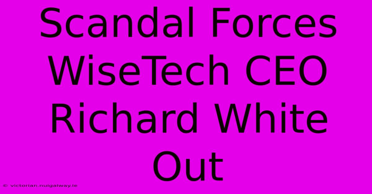 Scandal Forces WiseTech CEO Richard White Out