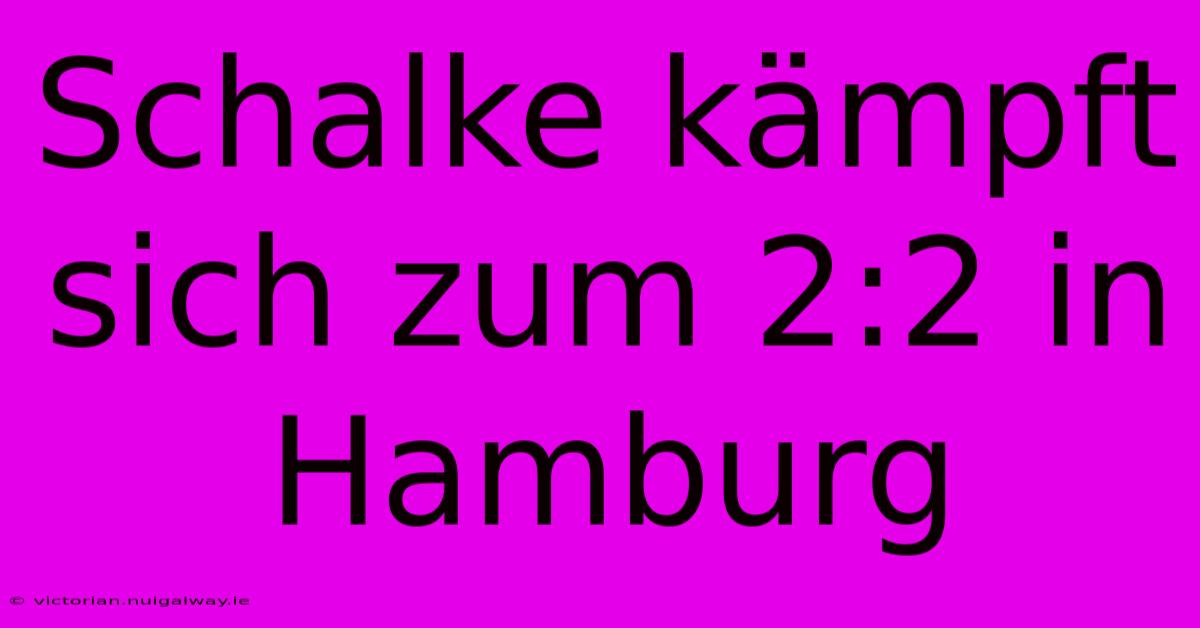 Schalke Kämpft Sich Zum 2:2 In Hamburg