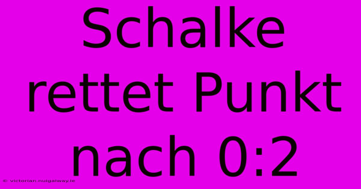 Schalke Rettet Punkt Nach 0:2