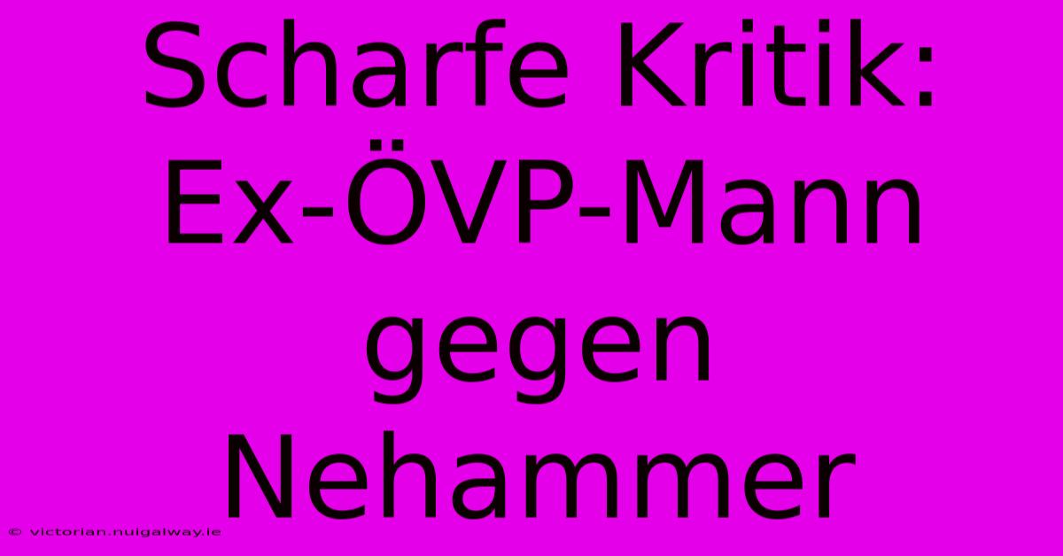 Scharfe Kritik: Ex-ÖVP-Mann Gegen Nehammer