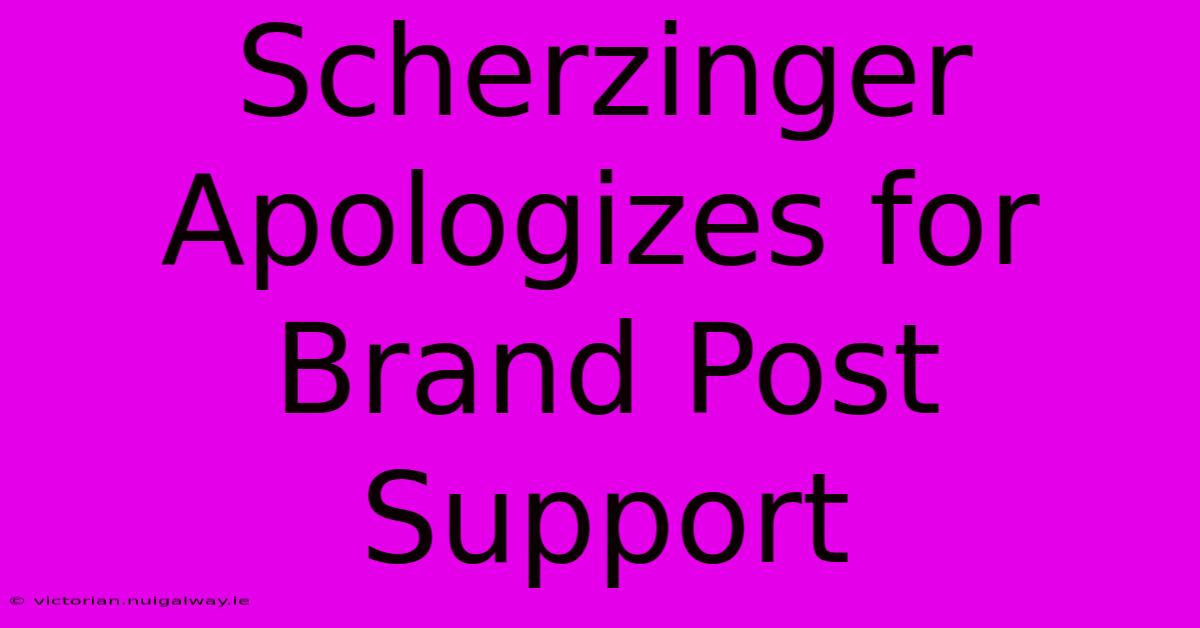 Scherzinger Apologizes For Brand Post Support