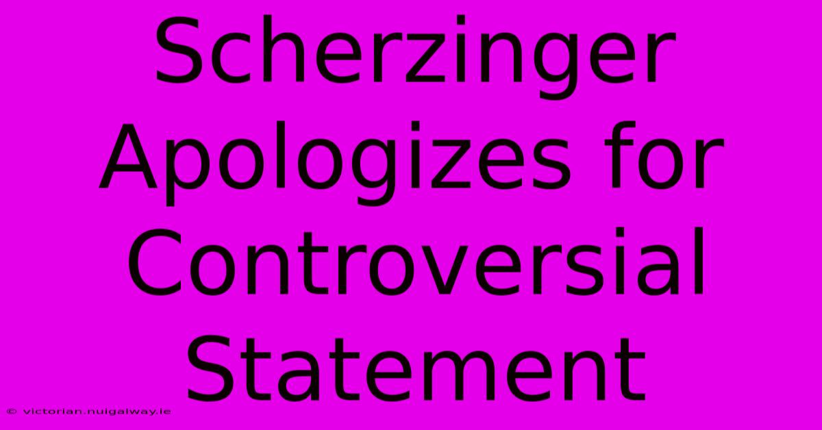 Scherzinger Apologizes For Controversial Statement 