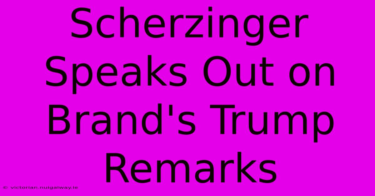 Scherzinger Speaks Out On Brand's Trump Remarks 