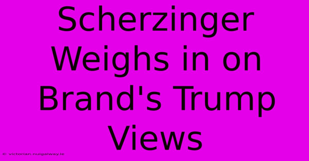 Scherzinger Weighs In On Brand's Trump Views