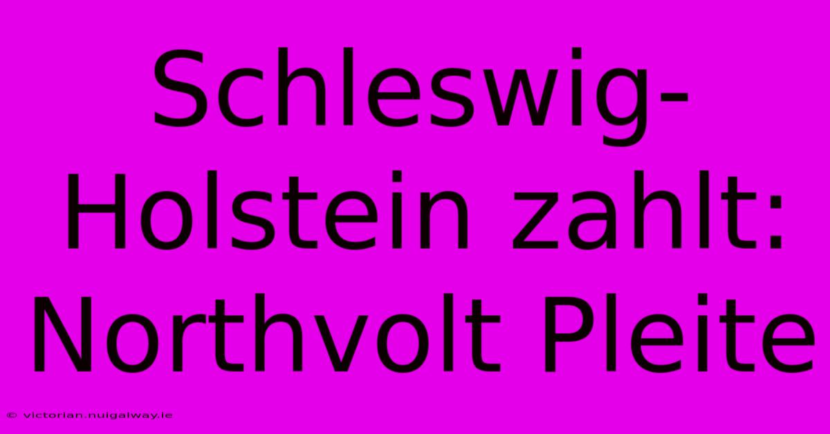 Schleswig-Holstein Zahlt: Northvolt Pleite