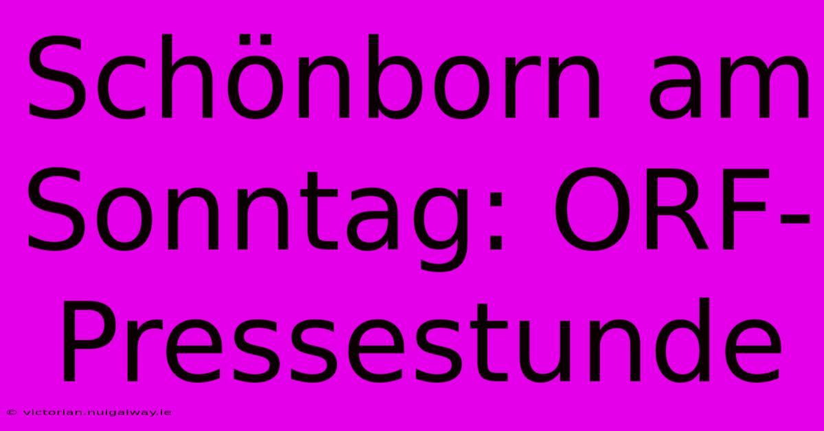 Schönborn Am Sonntag: ORF-Pressestunde