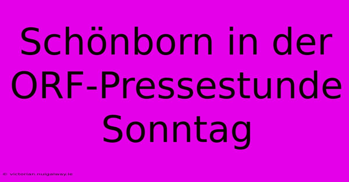 Schönborn In Der ORF-Pressestunde Sonntag