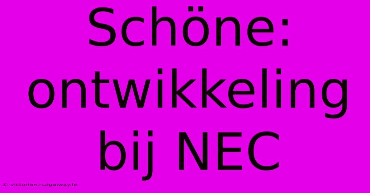 Schöne: Ontwikkeling Bij NEC