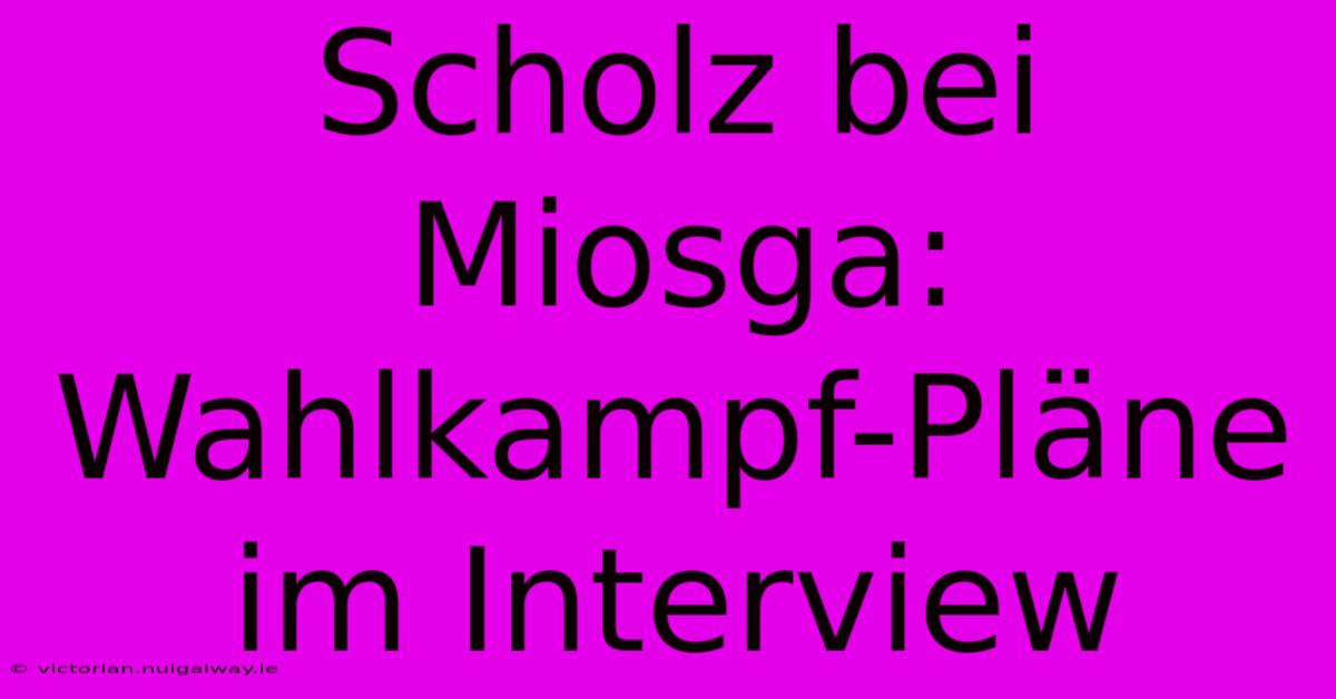 Scholz Bei Miosga: Wahlkampf-Pläne Im Interview 