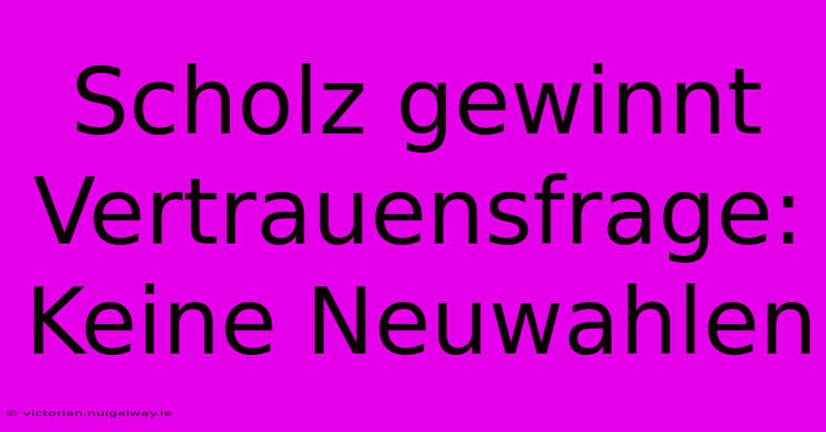 Scholz Gewinnt Vertrauensfrage: Keine Neuwahlen