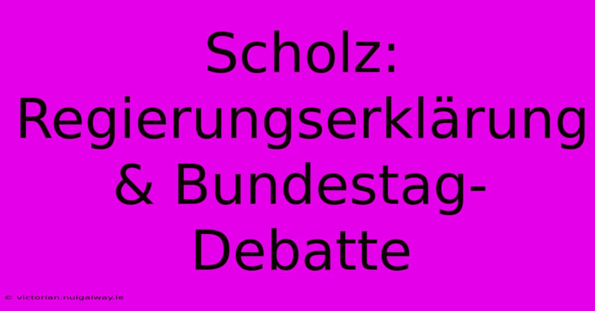 Scholz: Regierungserklärung & Bundestag-Debatte