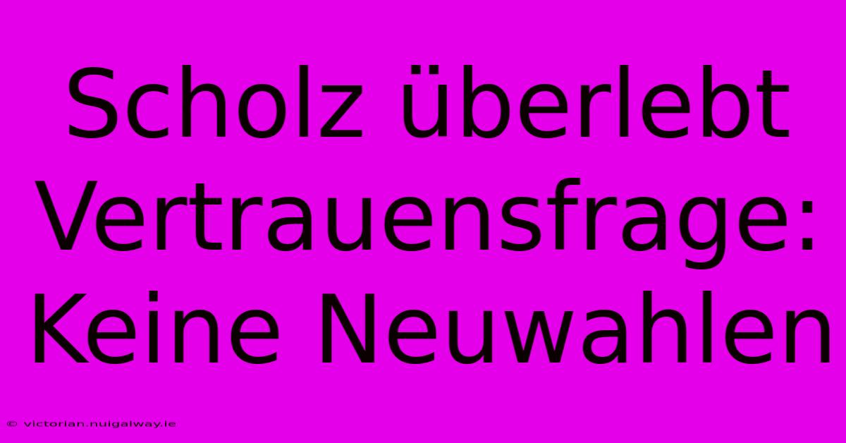 Scholz Überlebt Vertrauensfrage: Keine Neuwahlen 