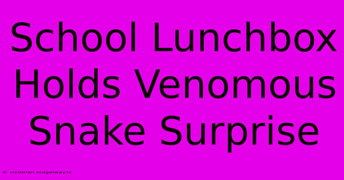 School Lunchbox Holds Venomous Snake Surprise