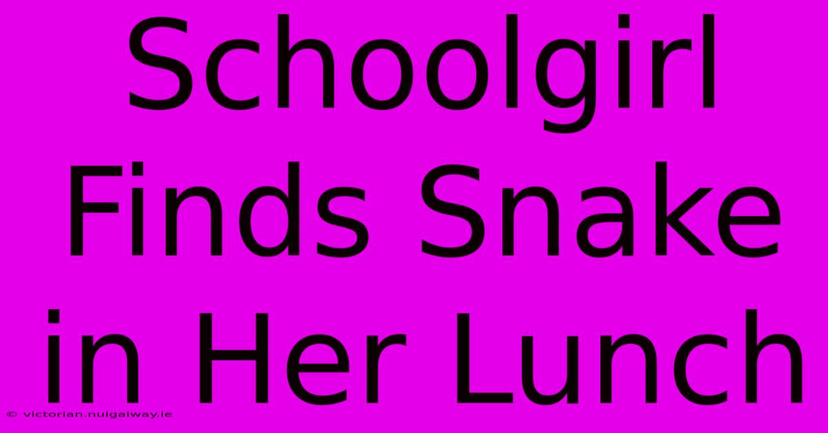 Schoolgirl Finds Snake In Her Lunch