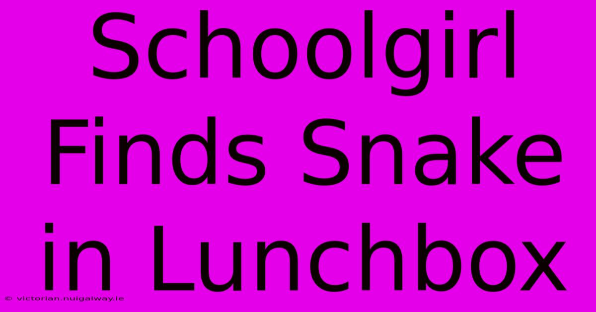 Schoolgirl Finds Snake In Lunchbox