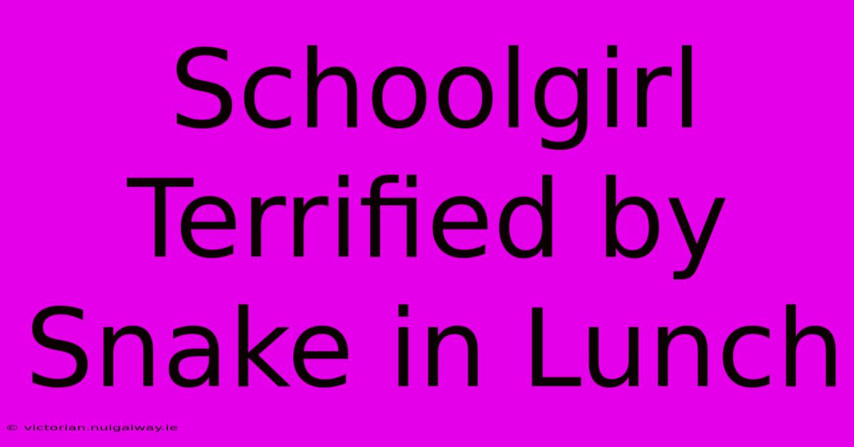 Schoolgirl Terrified By Snake In Lunch 