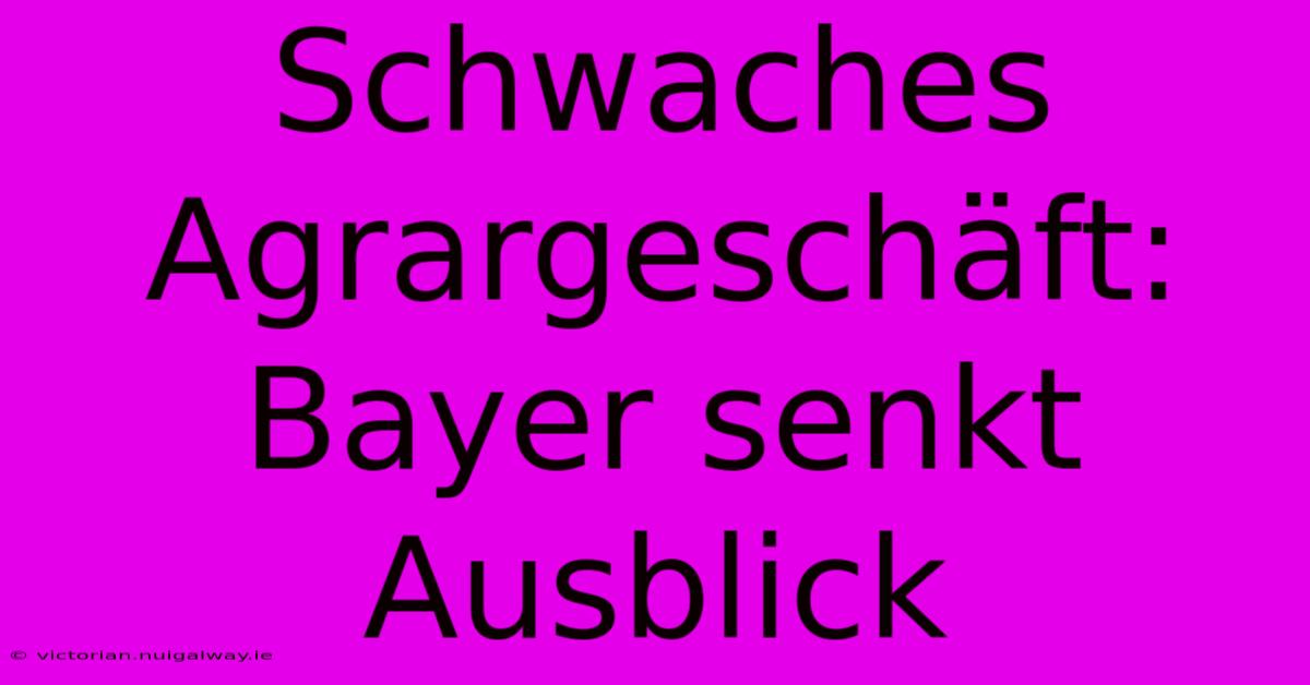 Schwaches Agrargeschäft: Bayer Senkt Ausblick