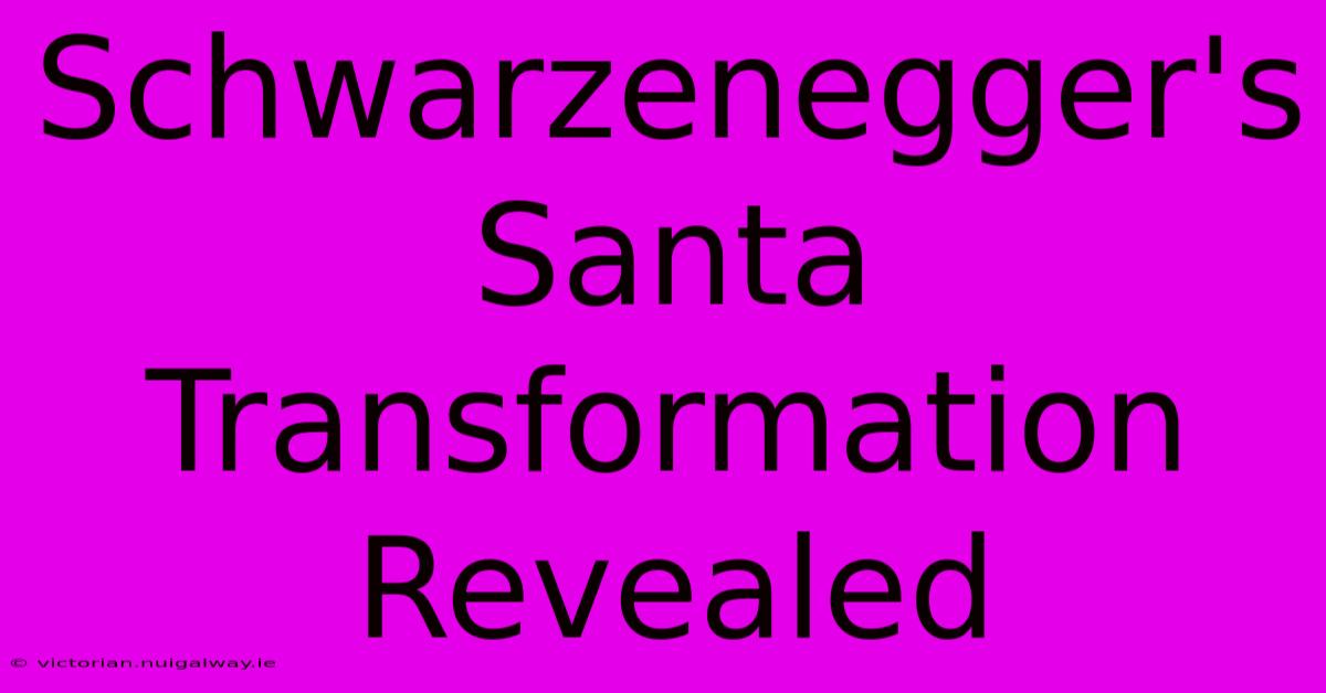 Schwarzenegger's Santa Transformation Revealed