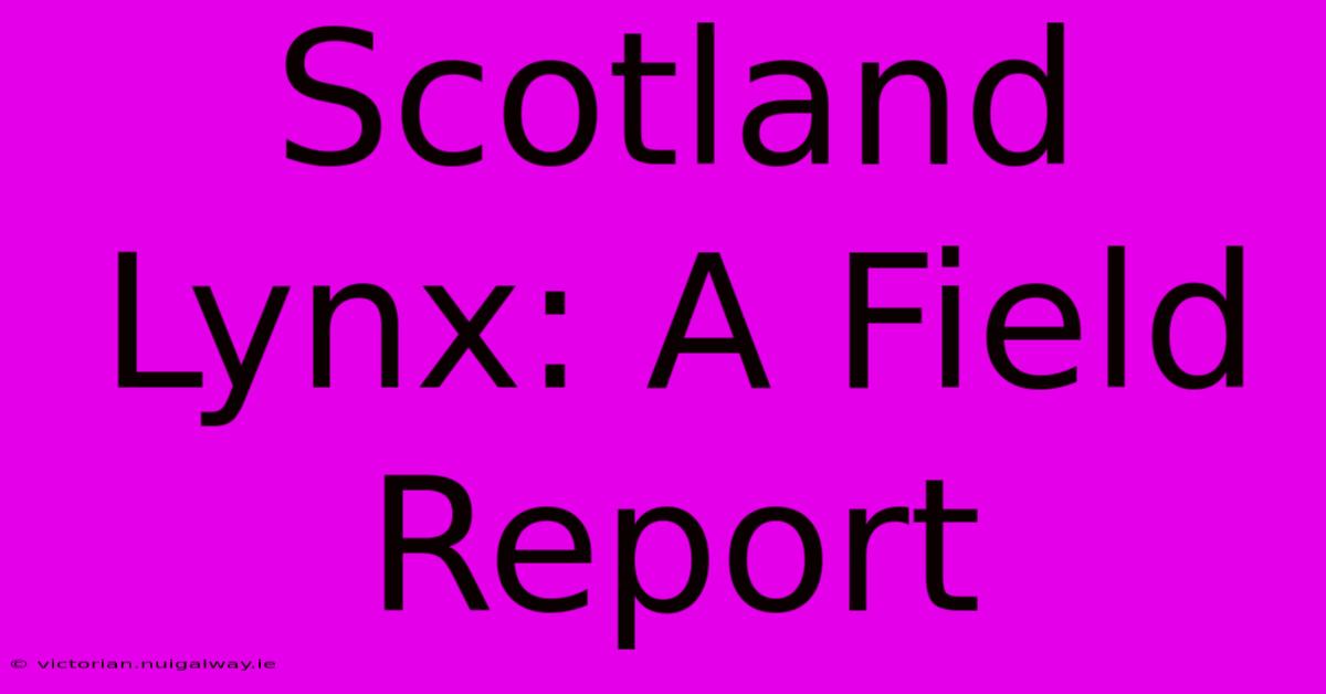 Scotland Lynx: A Field Report