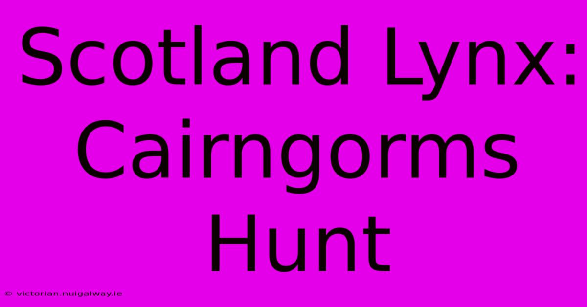 Scotland Lynx: Cairngorms Hunt