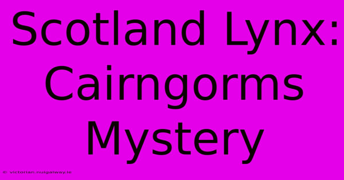 Scotland Lynx: Cairngorms Mystery